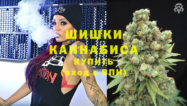 индика Липки