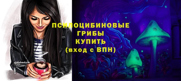 2c-b Куйбышев