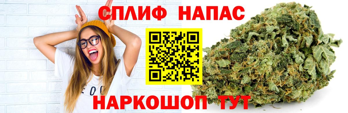 Конопля Ganja  Канабис конопля  Маркс  Марихуана Amnesia  Марихуана Amnesia 