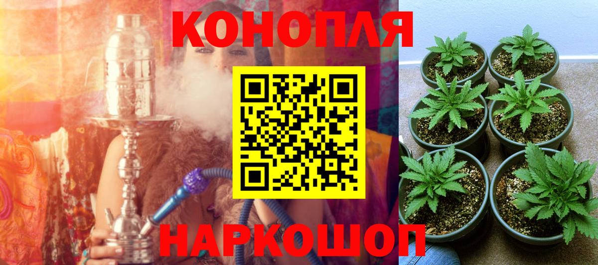 Шишки марихуана Ganja Маркс
